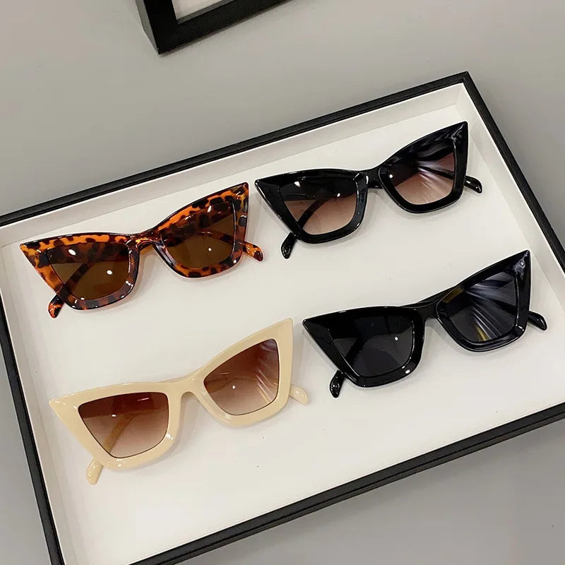 Un vassoio espone quattro paia di Occhiali da Sole Donna Occhi di Gatto di PACOSHOP24.COM: tartaruga, nero con lenti marroni, beige con lenti marroni e nero pieno. Tutti sono caratterizzati da montature spesse e appuntite per un look chic da occhi di gatto.